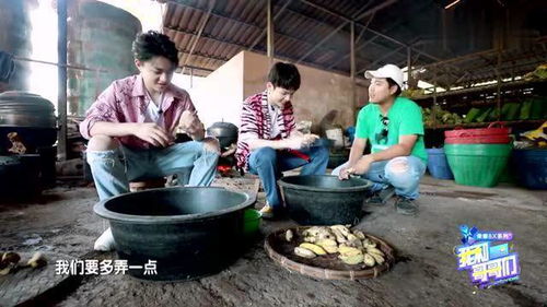 钱正昊朱星杰亲手制作大象食物,二人现场竟飙起泰语